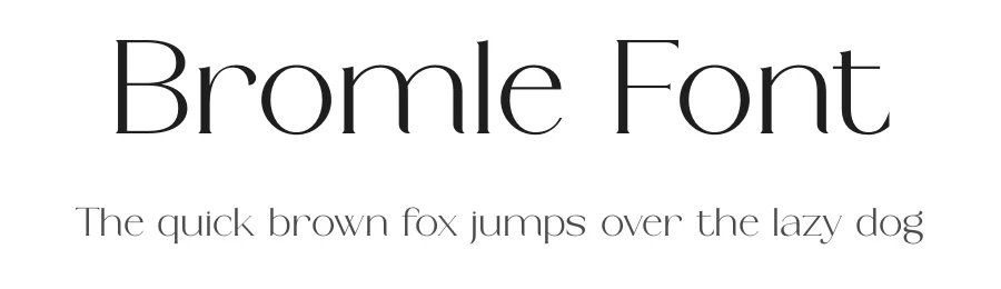 Bromle Font by Muflieart — Serif Font