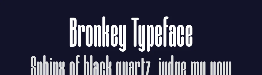 Bronkey Typeface by alit design — Sans Serif Font — thumbnail 2