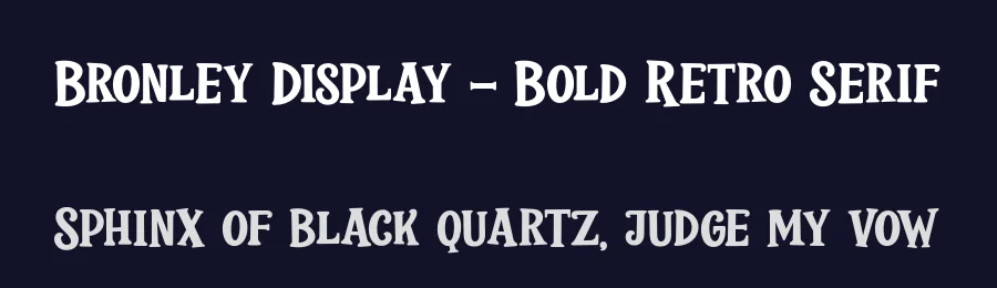 Bronley Display – Bold Retro Serif by ahweproject — Display Font — thumbnail 2