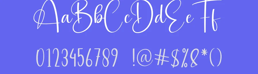 Brookly Calligraphy Font by creativeletter — Script Handwritten Font — thumbnail 3