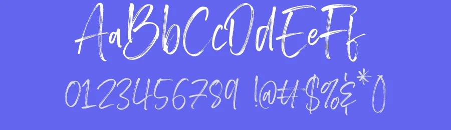 Brother Home Brush Font by Letteralle Studio — Script Handwritten Font — thumbnail 3
