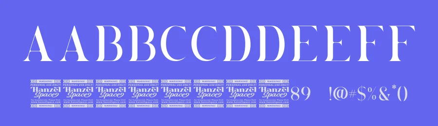 Brovile Serif Font by [email protected] — Serif Font — thumbnail 3