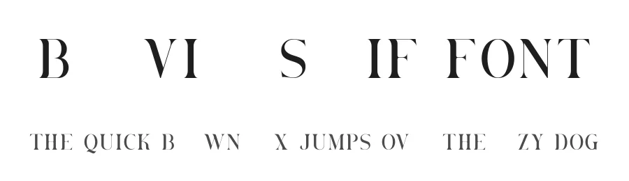 Brovile Serif Font by [email protected] — Serif Font