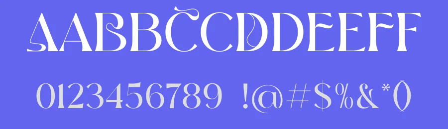 BROW VOLKY Serif Font by Storytype — Serif Font — thumbnail 3