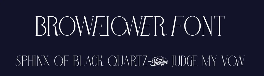Browflower Font by VinType — Display Font — thumbnail 2