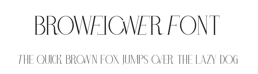 Browflower Font by VinType — Display Font