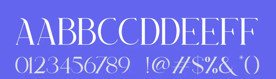 Brown Marlyn Font Duo by ErgibiStudio — Serif Font — thumbnail 3