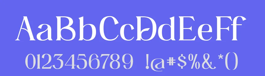Brugenfield Font by zamjumps-studio — Serif Font — thumbnail 3