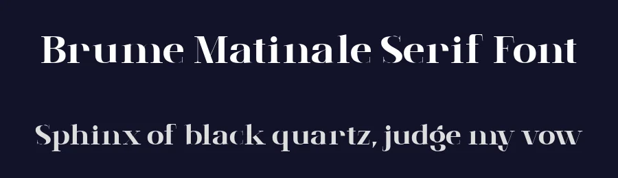 Brume Matinale Serif Font by prioritype — Serif Font — thumbnail 2
