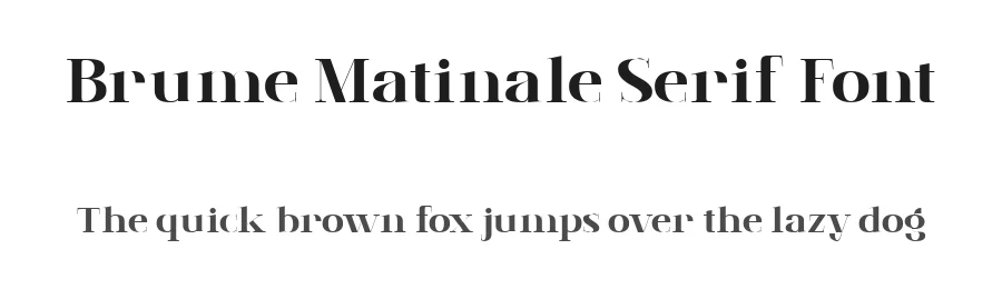 Brume Matinale Serif Font by prioritype — Serif Font
