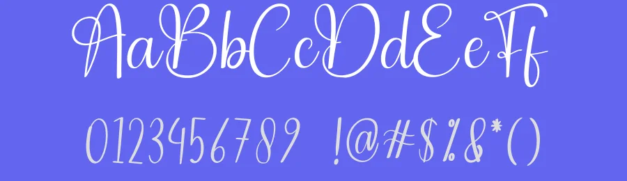 Brush Beauty Calligraphy Font by andikastudio — Script Handwritten Font — thumbnail 3