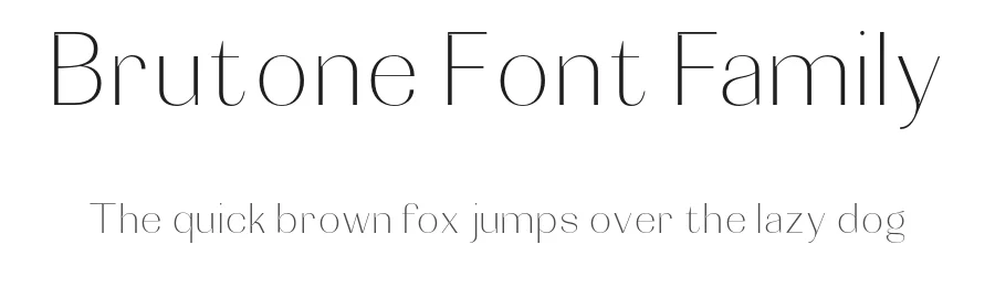 Brutone Font Family by Mantype Studio — Display Font