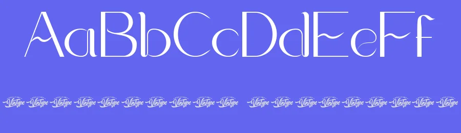 Bucket Flower Font by VinType — Display Font — thumbnail 3