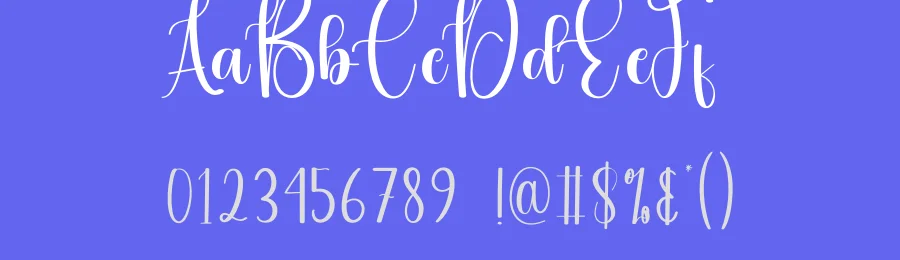 Budget Calligraphy Font by andikastudio — Script Handwritten Font — thumbnail 3