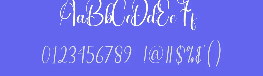 Budget Calligraphy Font by andikastudio — Script Handwritten Font — thumbnail 3