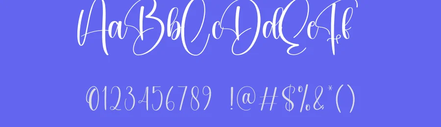 Budget Script Font by creativeletter — Script Handwritten Font — thumbnail 3