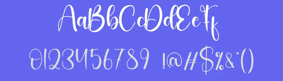Budget Script Font by creativeletter — Script Handwritten Font — thumbnail 3