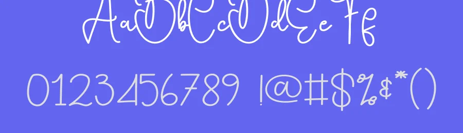 Budget Script Font by andikastudio — Script Handwritten Font — thumbnail 3