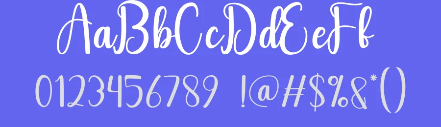 Budget Script Font by andikastudio — Script Handwritten Font — thumbnail 3