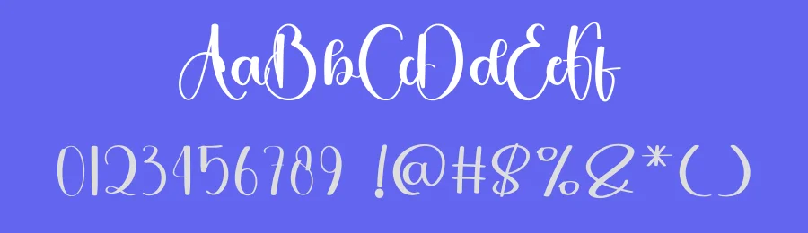 Buffalo – Casual Handwritten Script Font by freshtypeink — Script Handwritten Font — thumbnail 3