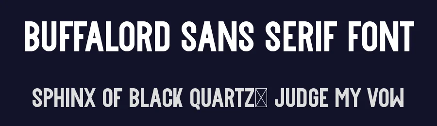 Buffalord Sans Serif Font by nihstudio — Sans Serif Font — thumbnail 2