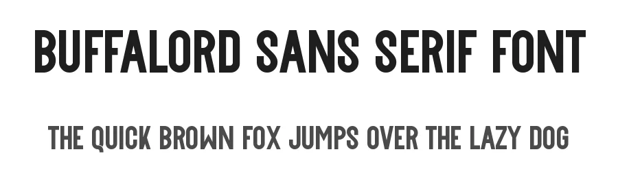 Buffalord Sans Serif Font by nihstudio — Sans Serif Font