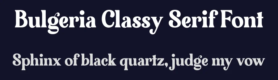 Bulgeria Classy Serif Font by Storytype — Serif Font — thumbnail 2