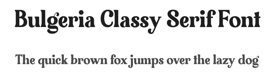 Bulgeria Classy Serif Font by Storytype — Serif Font