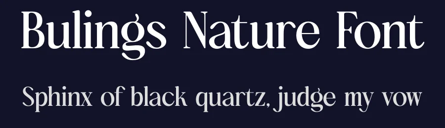 Bulings Nature Font by timelesstype.co — Serif Font — thumbnail 2