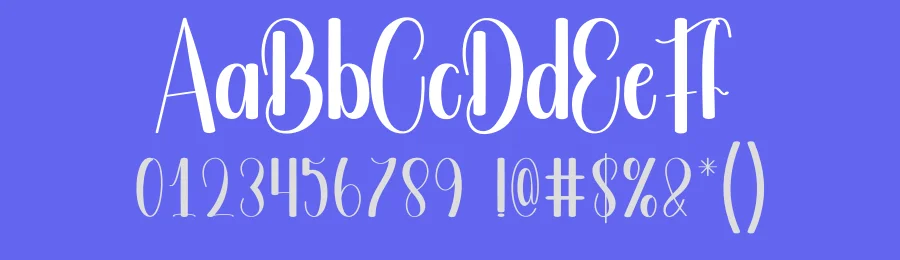 Bulky Holiday – Handwritten Script Font by andikastudio — Display Font — thumbnail 3
