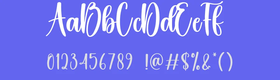 Bulky Script Typeface by creativeletter — Script Handwritten Font — thumbnail 3