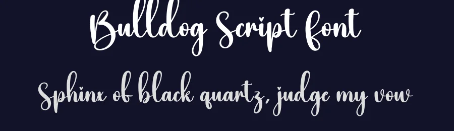 Bulldog Script Font by creativeletter — Script Handwritten Font — thumbnail 2