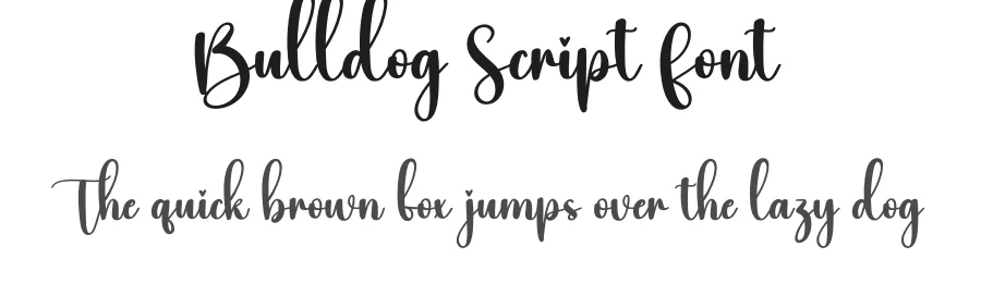 Bulldog Script Font by creativeletter — Script Handwritten Font