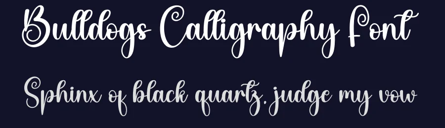Bulldogs Calligraphy Font by creativeletter — Script Handwritten Font — thumbnail 2