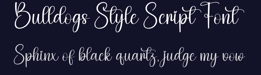 Bulldogs Style Script Font by creativeletter — Script Handwritten Font — thumbnail 2