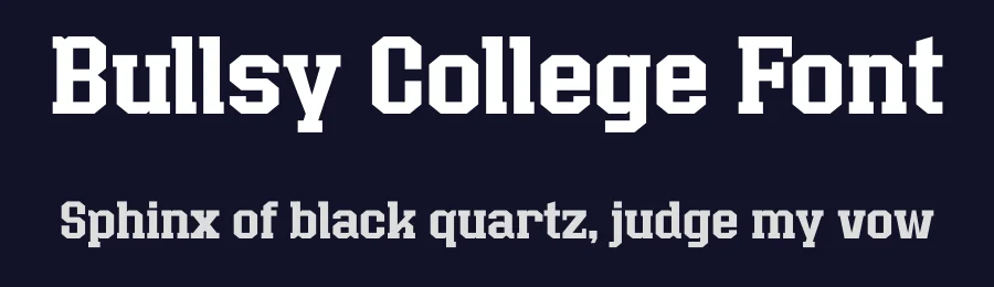 Bullsy College Font by Marvadesign — Slab Serif Font — thumbnail 2