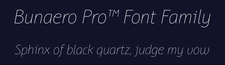 Bunaero Pro™ Font Family by Buntype — Serif Font — thumbnail 2