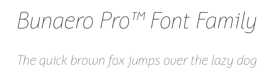 Bunaero Pro™ Font Family by Buntype — Serif Font