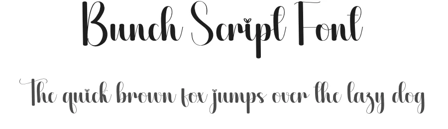 Bunch Script Font by creativeletter — Script Handwritten Font