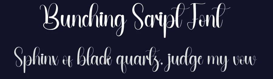 Bunching Script Font by andikastudio — Script Handwritten Font — thumbnail 2
