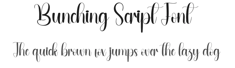 Bunching Script Font by andikastudio — Script Handwritten Font