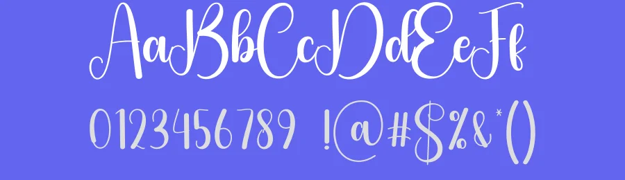 Bundle Script Font by creativeletter — Script Handwritten Font — thumbnail 3
