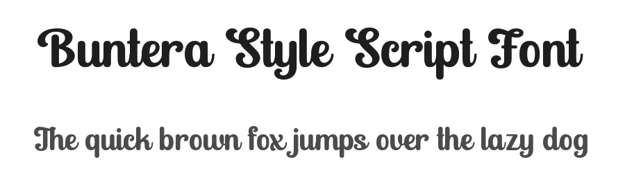 Buntera Style Script Font by Lettersweet — Display Font