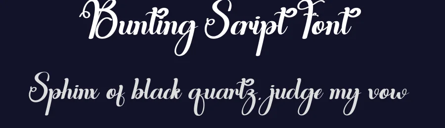 Bunting Script Font by andikastudio — Script Handwritten Font — thumbnail 2