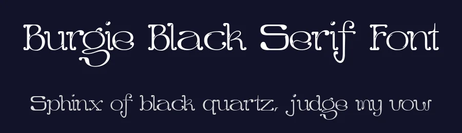 Burgie Black Serif Font by alit design — Serif Font — thumbnail 2