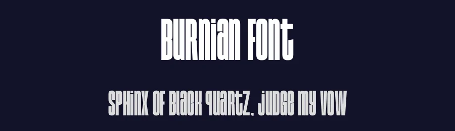 Burnian Font by Funtype — Decorative Font — thumbnail 2