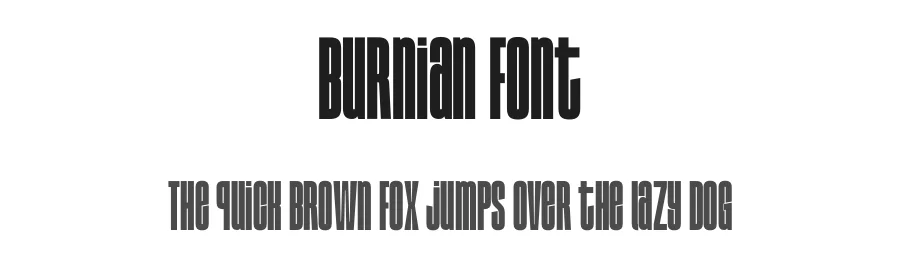 Burnian Font by Funtype — Decorative Font