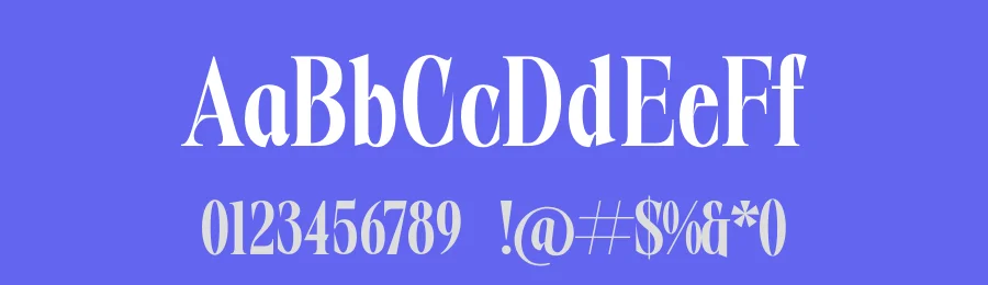 Burstyle – Modern Display Serif Font by timelesstype.co — Display Font — thumbnail 3