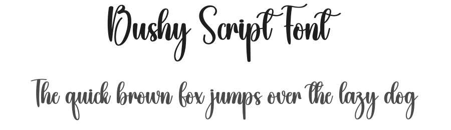 Bushy Script Font by creativeletter — Script Handwritten Font