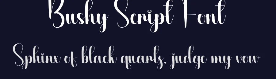 Bushy Script Font by creativeletter — Script Handwritten Font — thumbnail 2